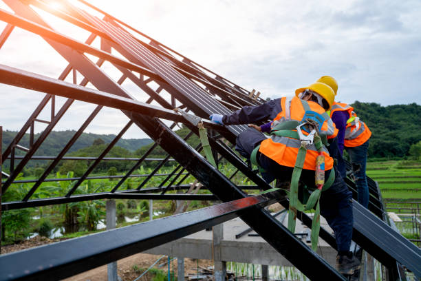 Best Roof Maintenance Services  in San Lorenzo, CA