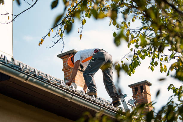 Quick and Trustworthy Emergency Roof Repair Services in San Lorenzo, CA