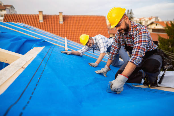 Best Storm Damage Roof Repair  in San Lorenzo, CA